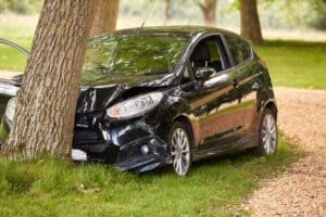 Sort bil kollideret med et træ i parken